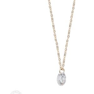 NWOT Park Lane halo necklace